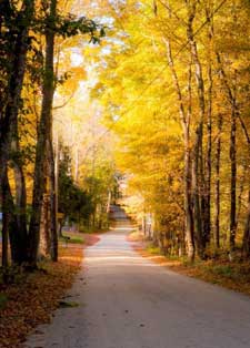 Road to Pratt Cemetery, Mason, NH